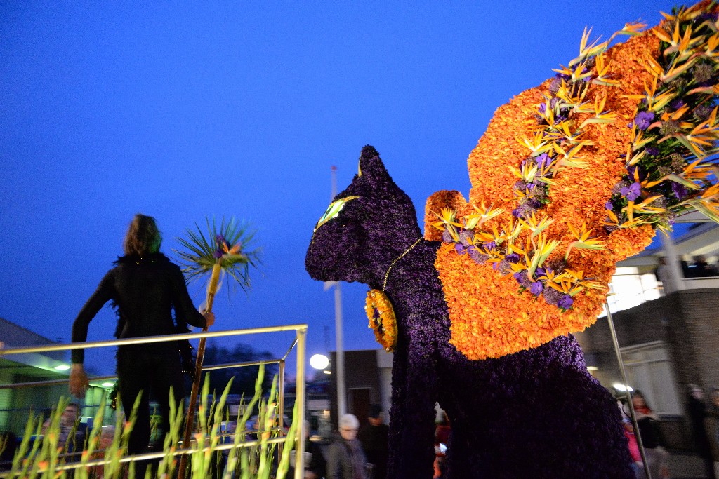 ../Images/Bloemencorso Noordwijkerhout 191.jpg